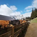 Apartamento Balcone Sulle Dolomiti Comèlico Superiore