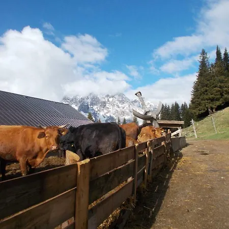 Apartment Balcone Sulle Dolomiti Comèlico Superiore