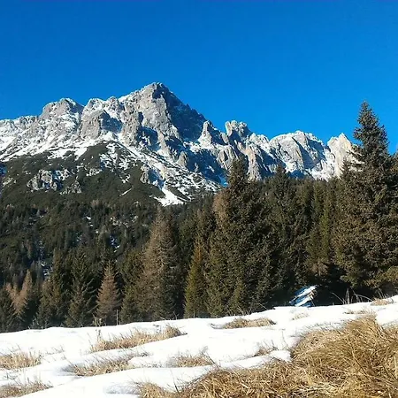 Balcone Sulle Dolomiti Apartment Comelico Superiore