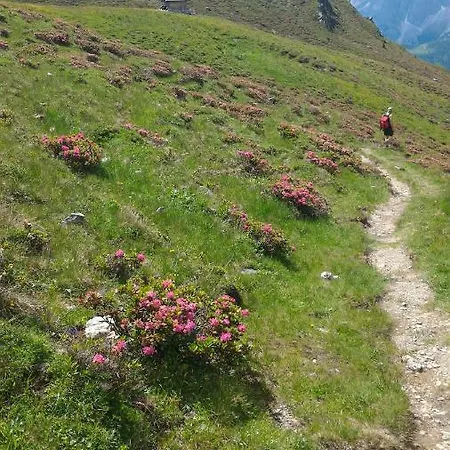 Appartamento Balcone Sulle Dolomiti Comèlico Superiore