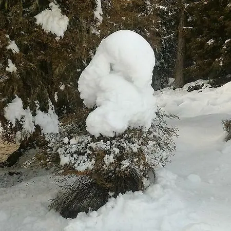 Appartamento Balcone Sulle Dolomiti *